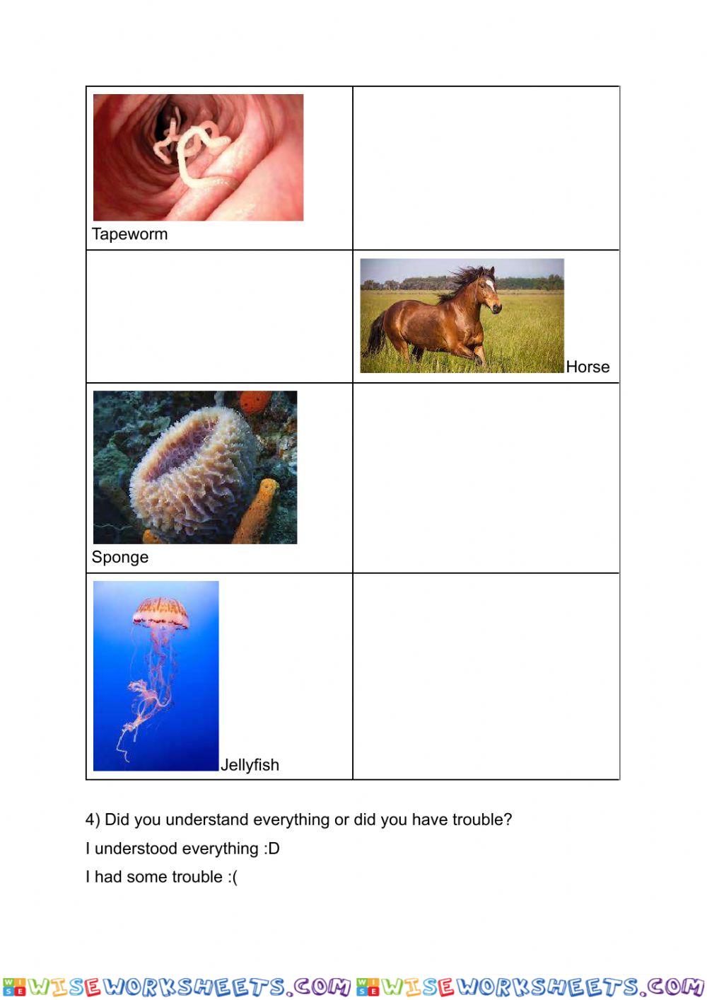 worksheet