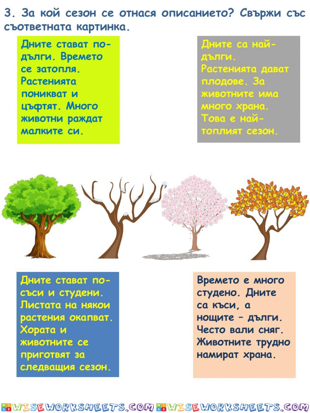 worksheet