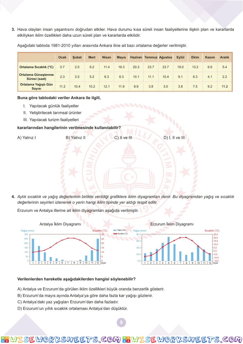 worksheet