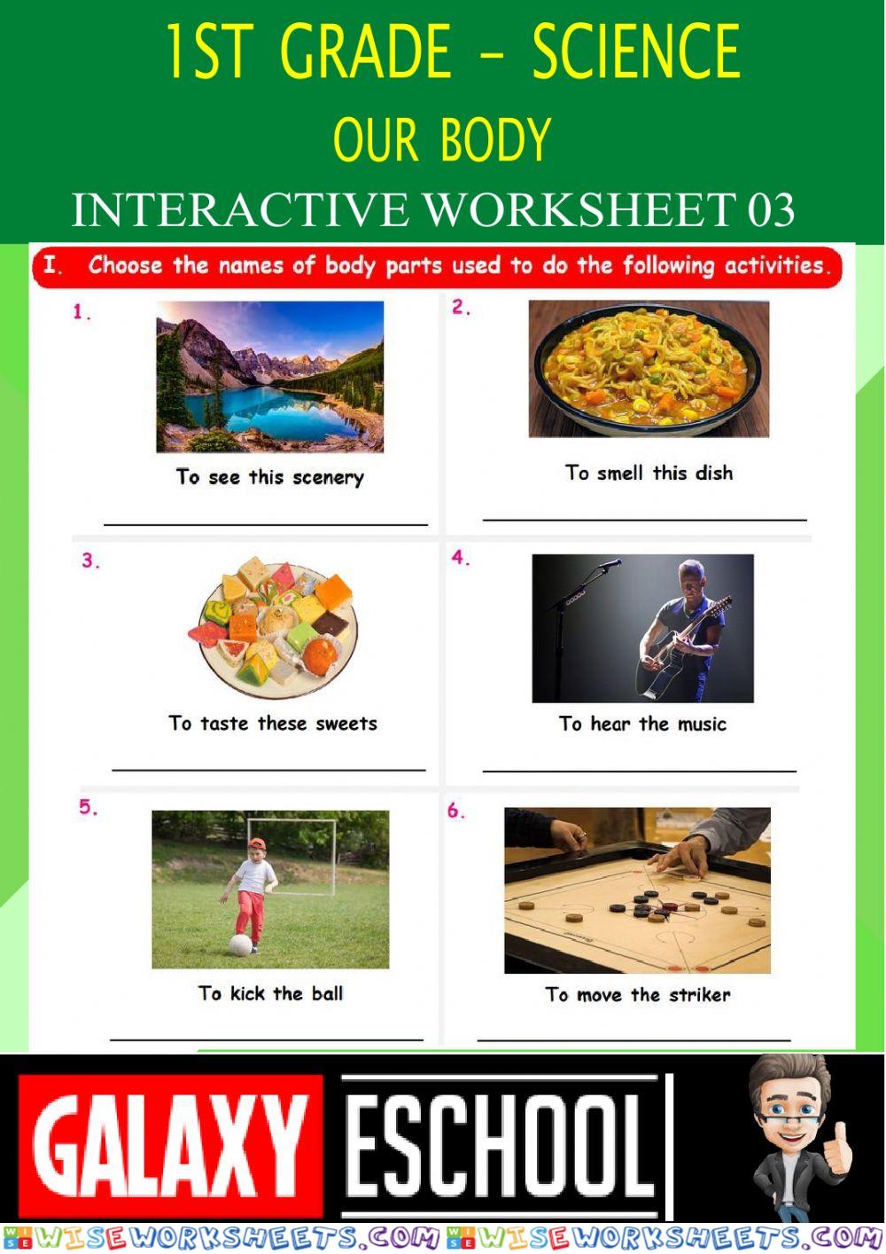 worksheet