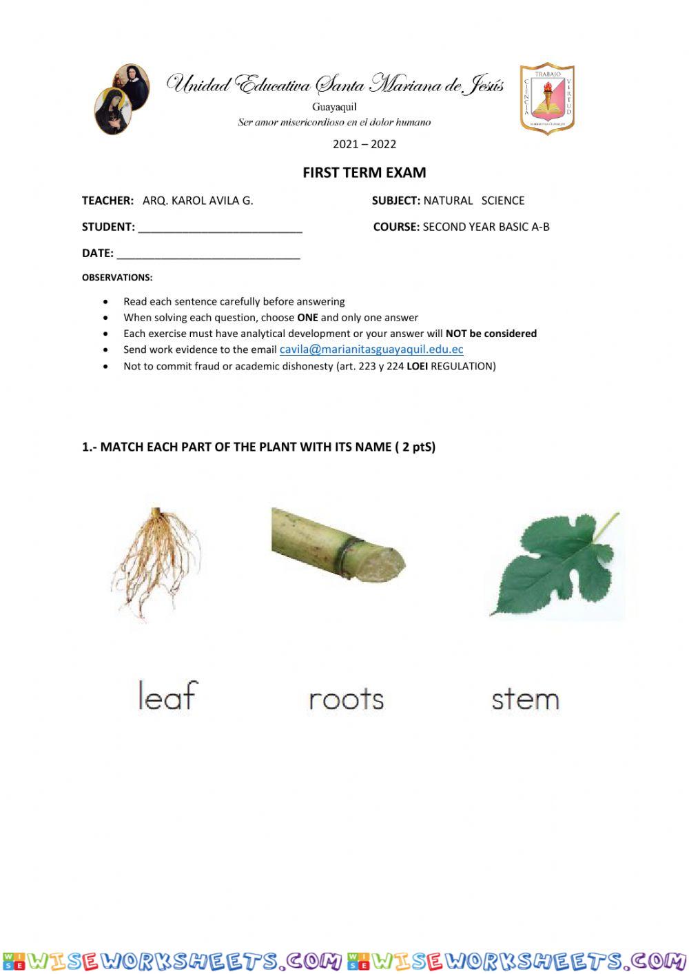 Exam First Term