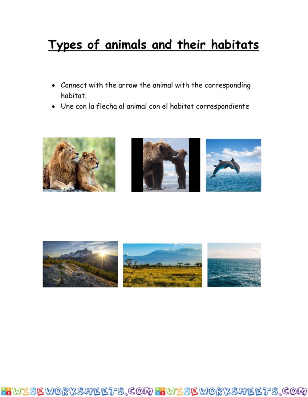 Types of animals