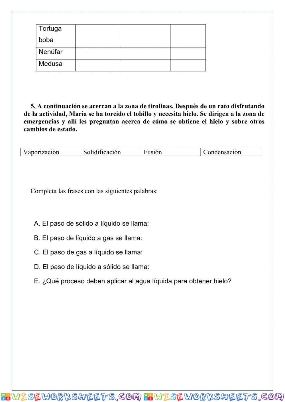 worksheet