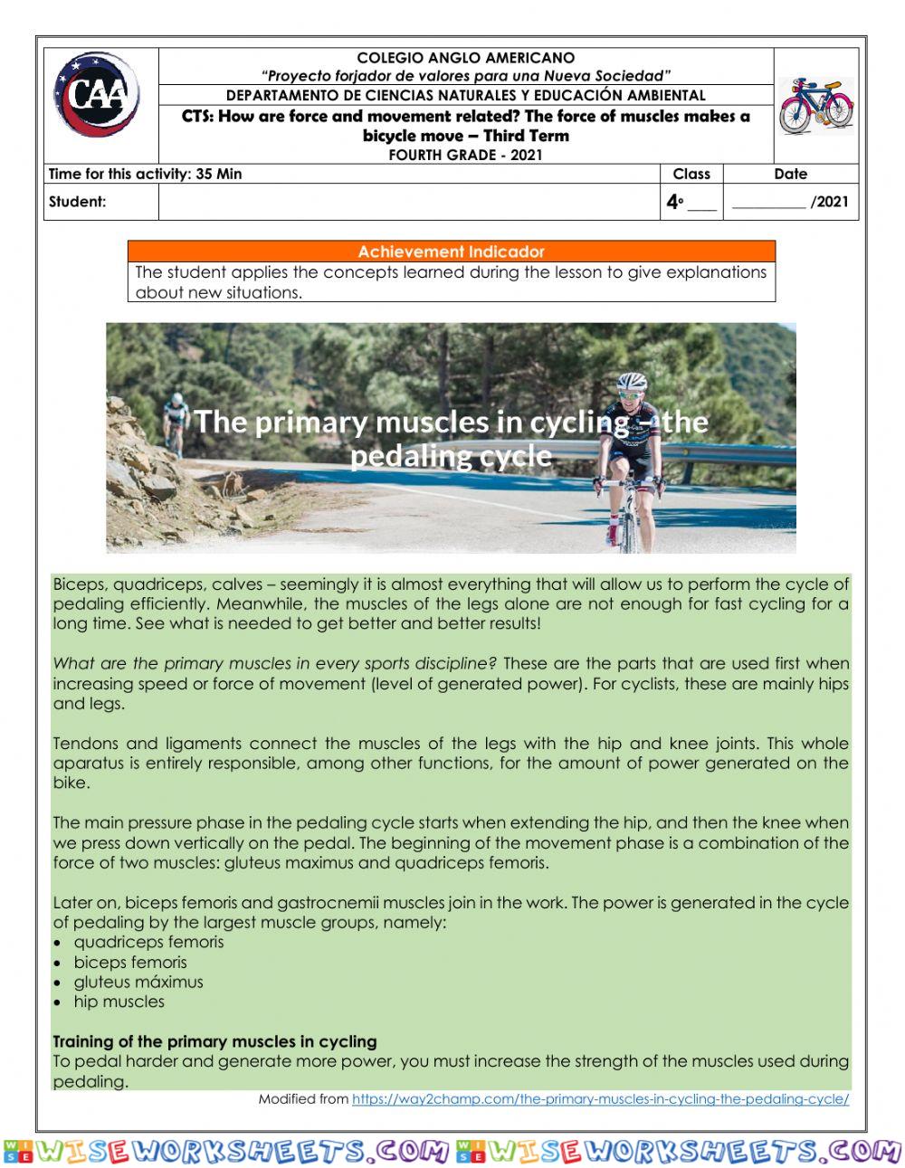 worksheet