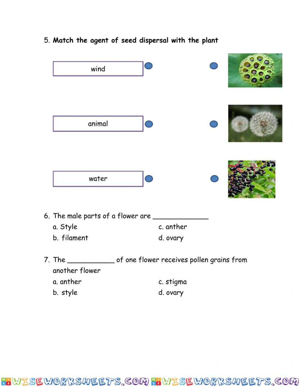 worksheet