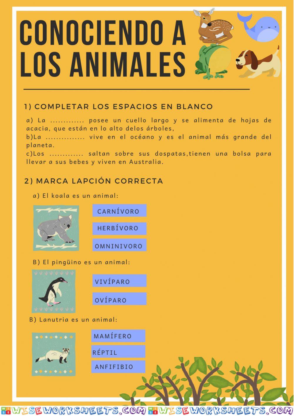 Conociendo a los animales