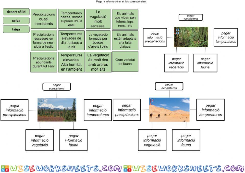 Ecosistemas 3