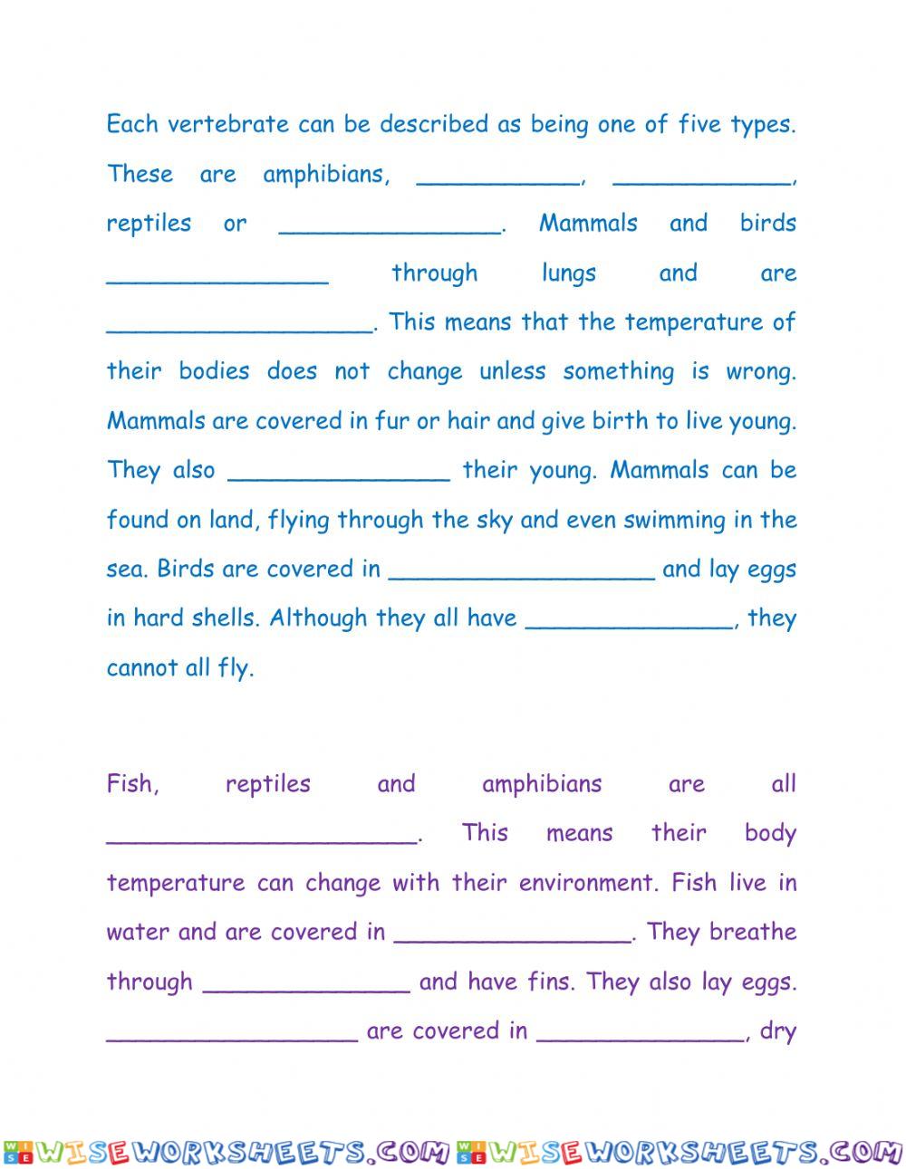 worksheet