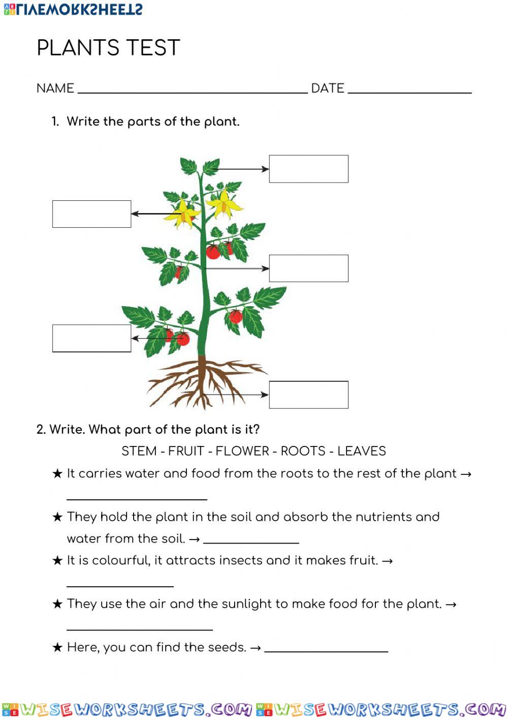 Plants-test