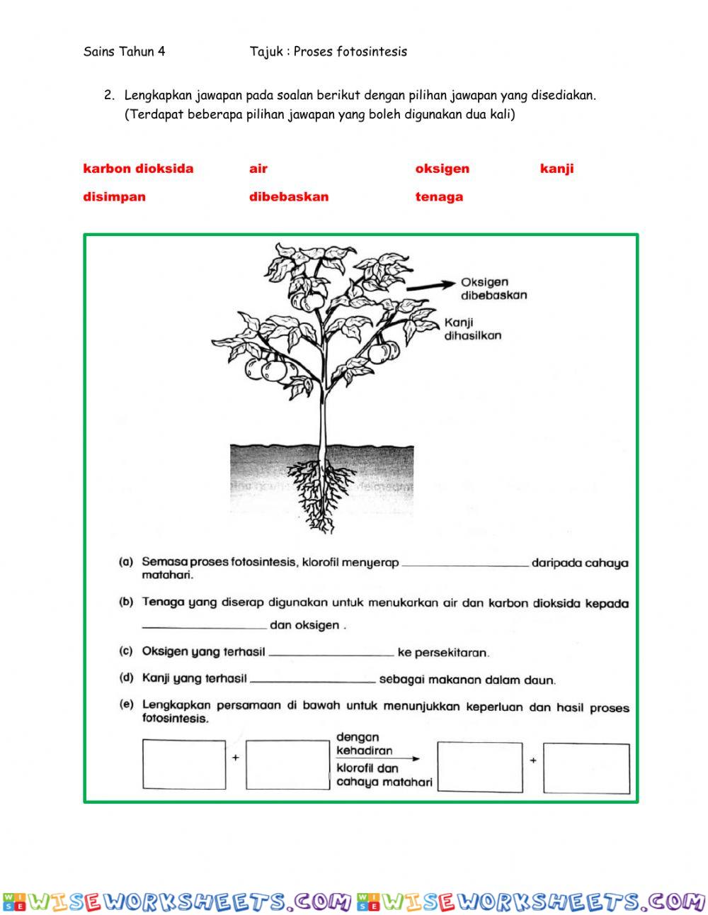 worksheet