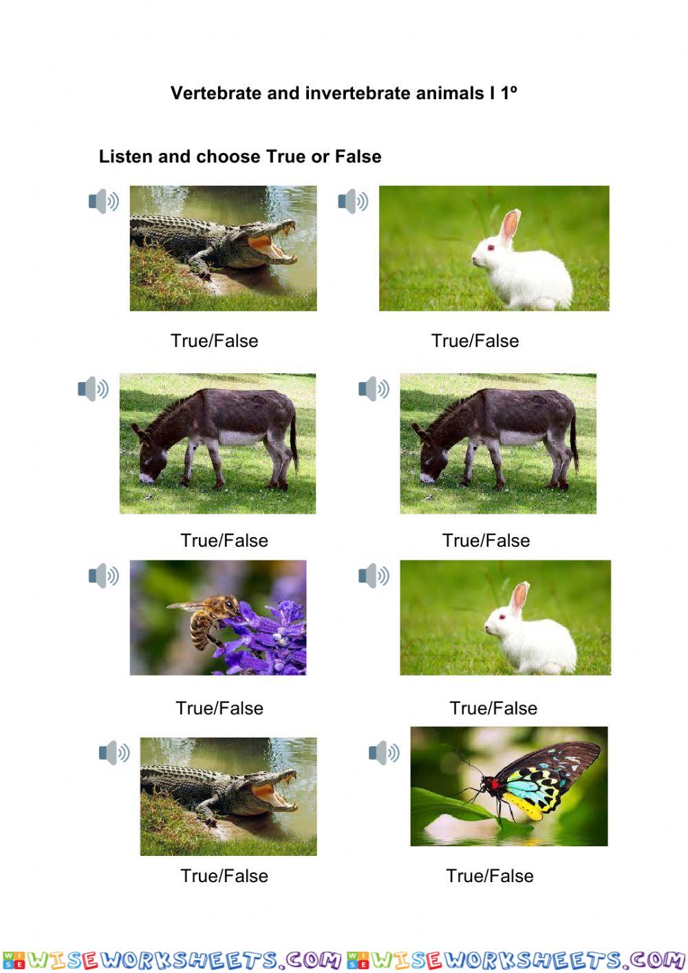 Vertebrate and invertebrate animals I 1º