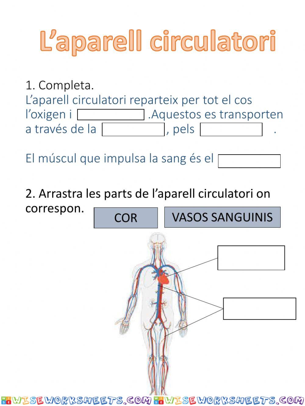 APARELL CIRCULATÒRI