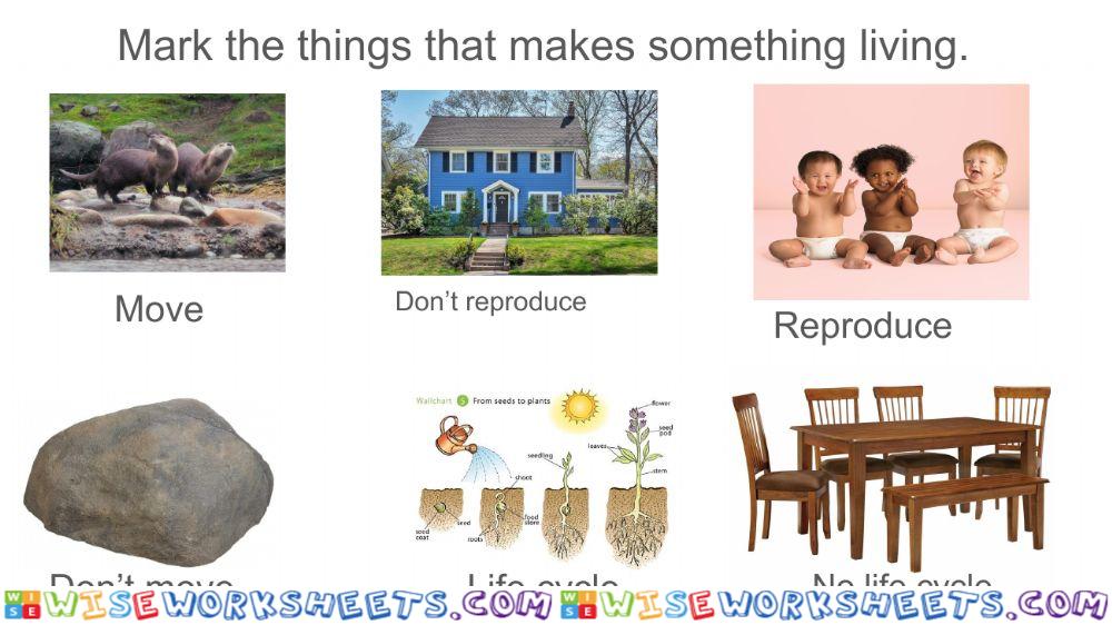 Living Things