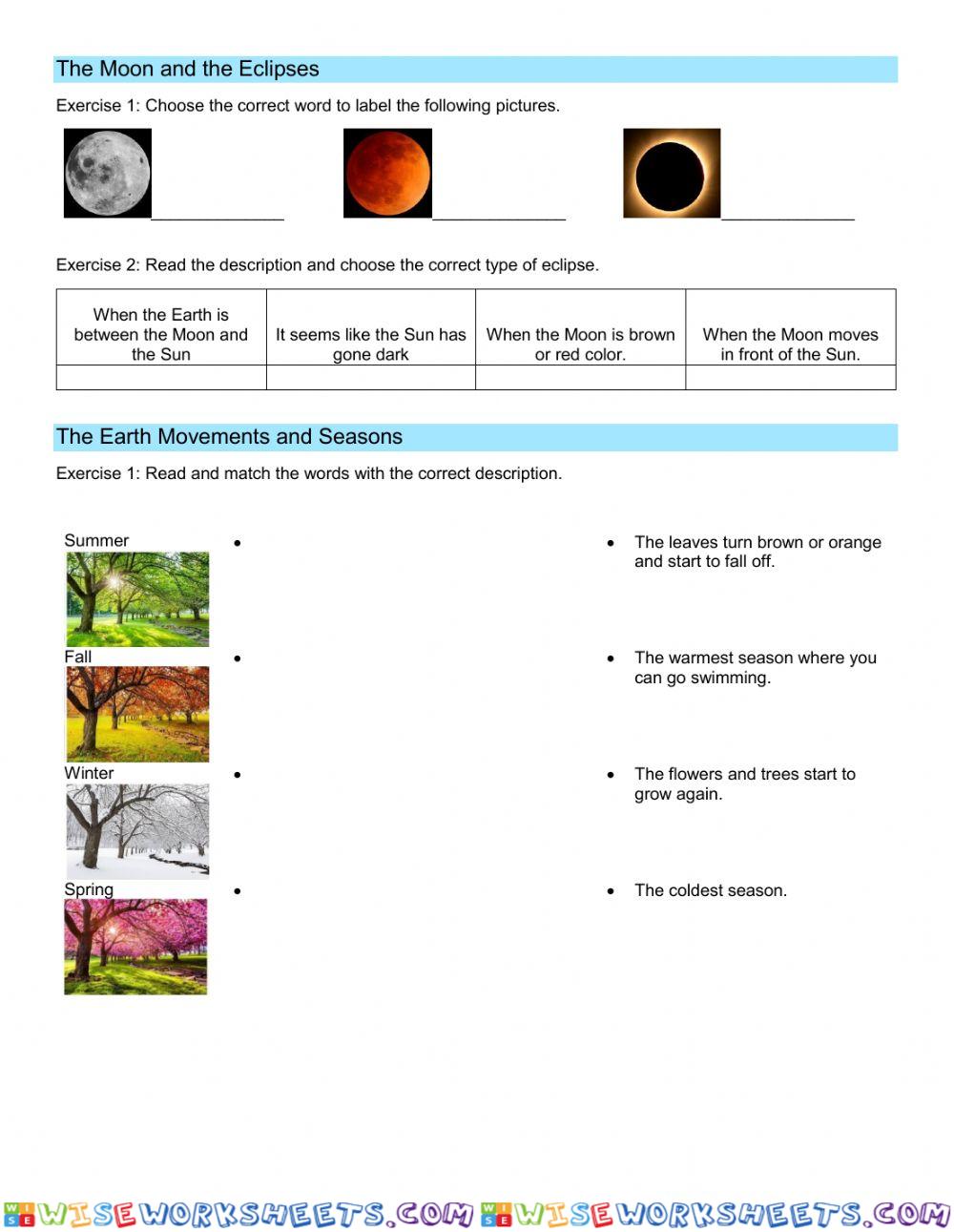 worksheet