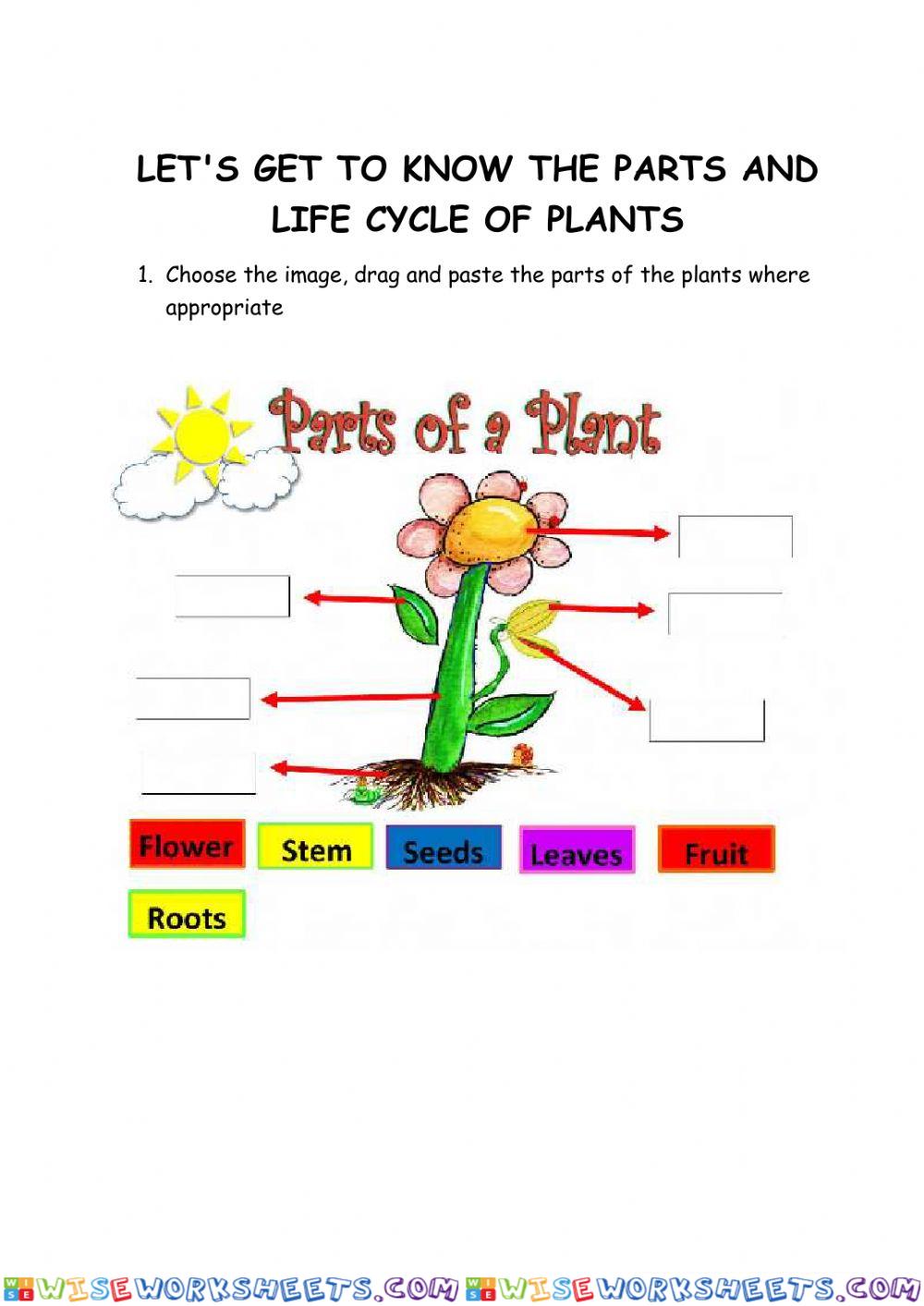 Plant parts