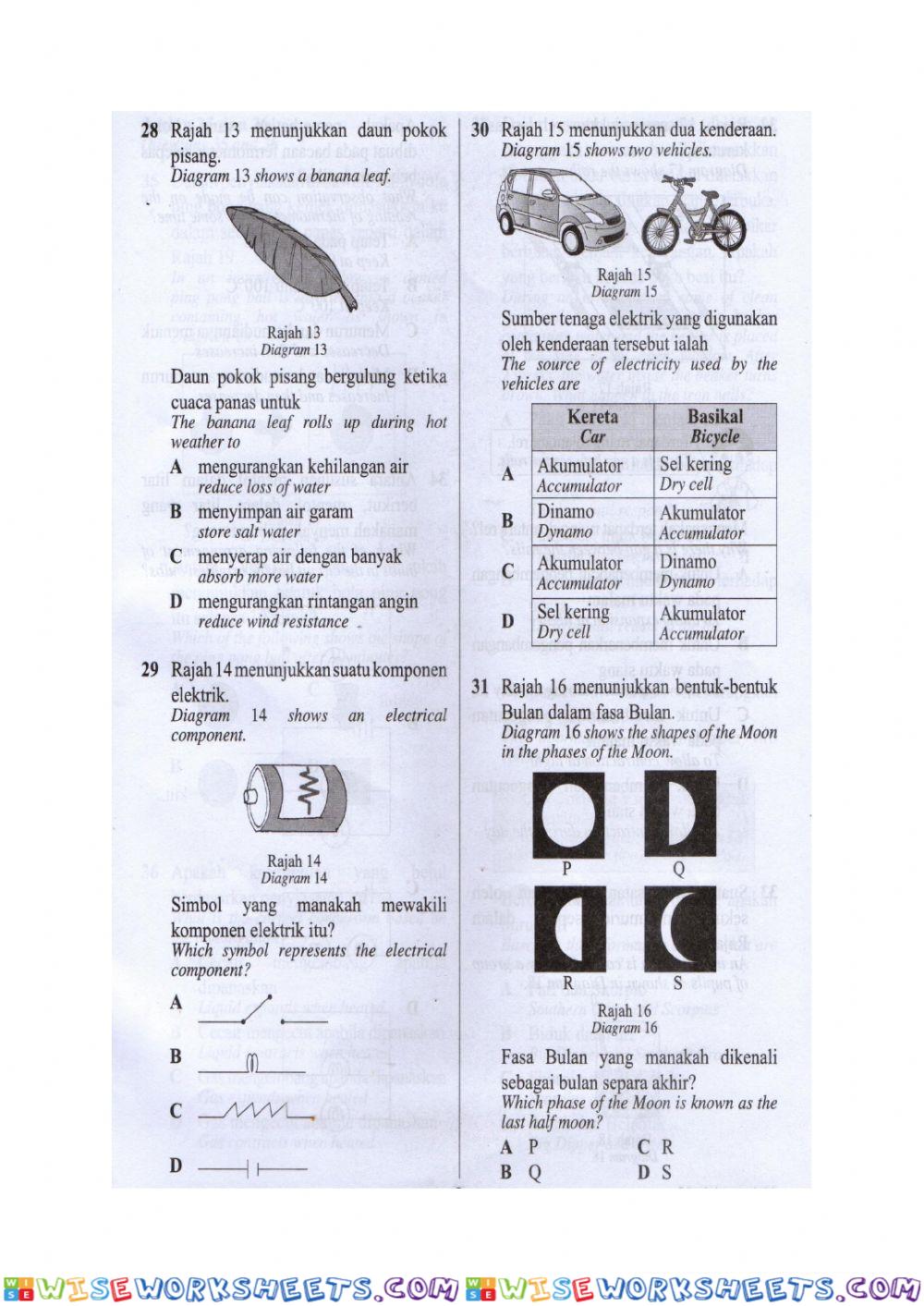 worksheet