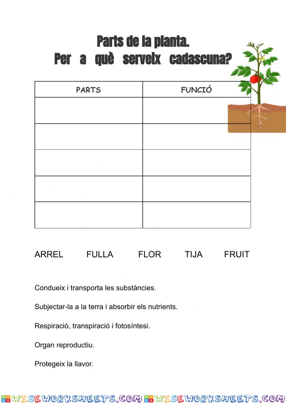 Parts de la planta