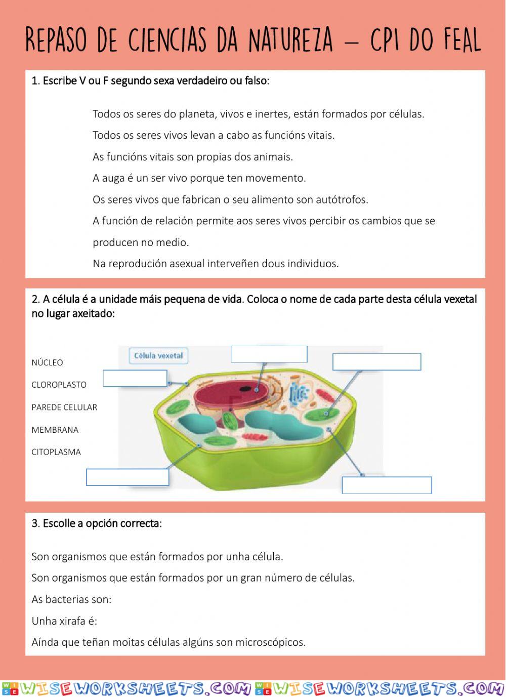 Ciencias da Natureza - Repaso xeral