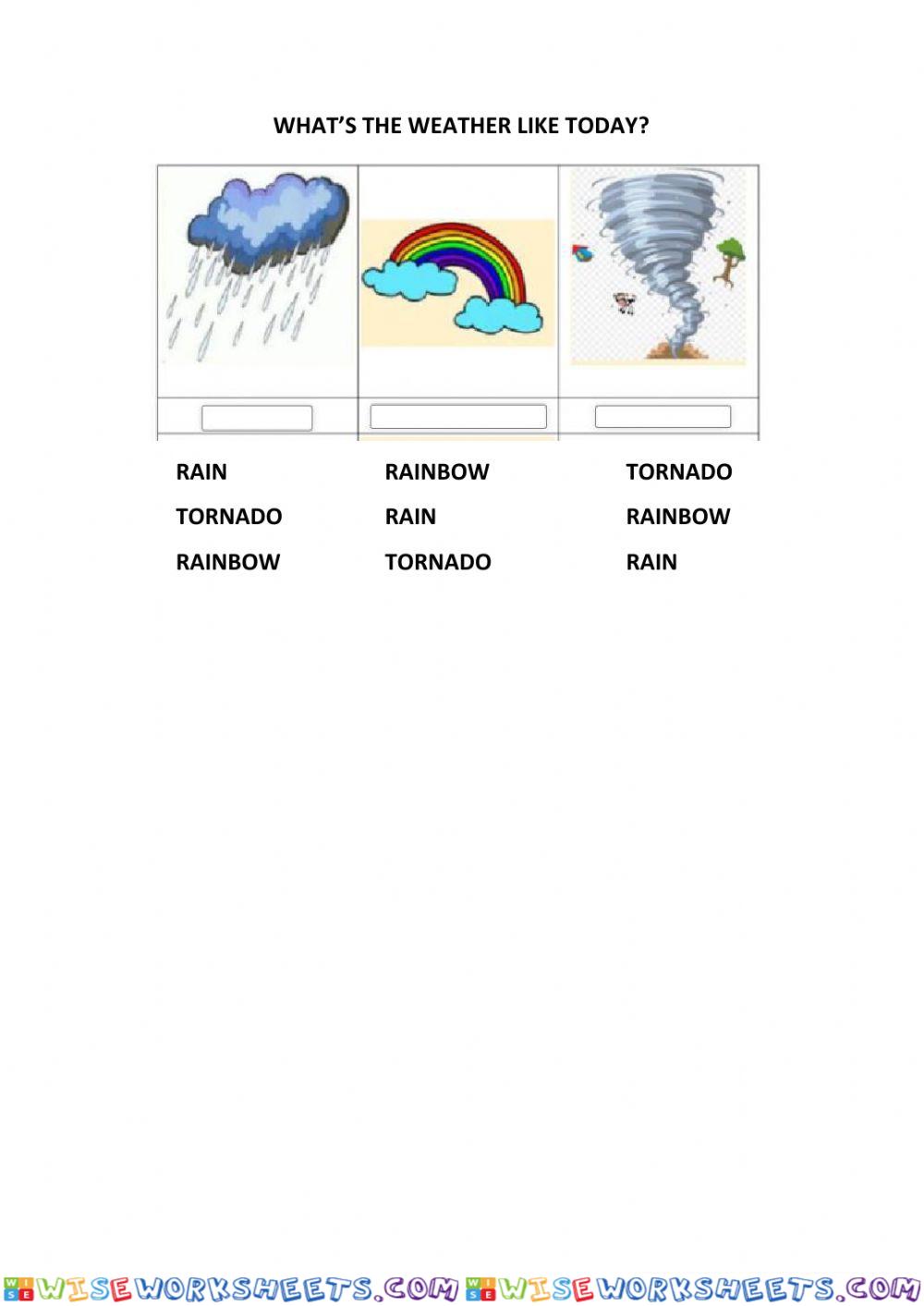 What's the weather like?