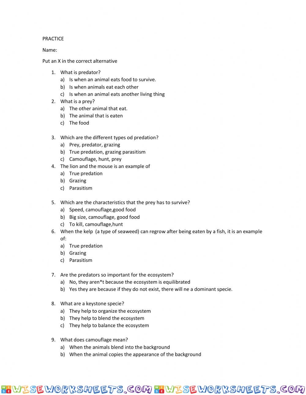 worksheet