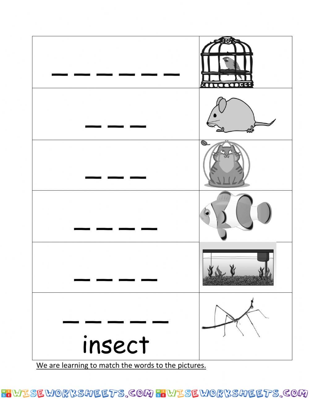 worksheet