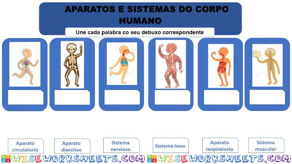 O corpo humano