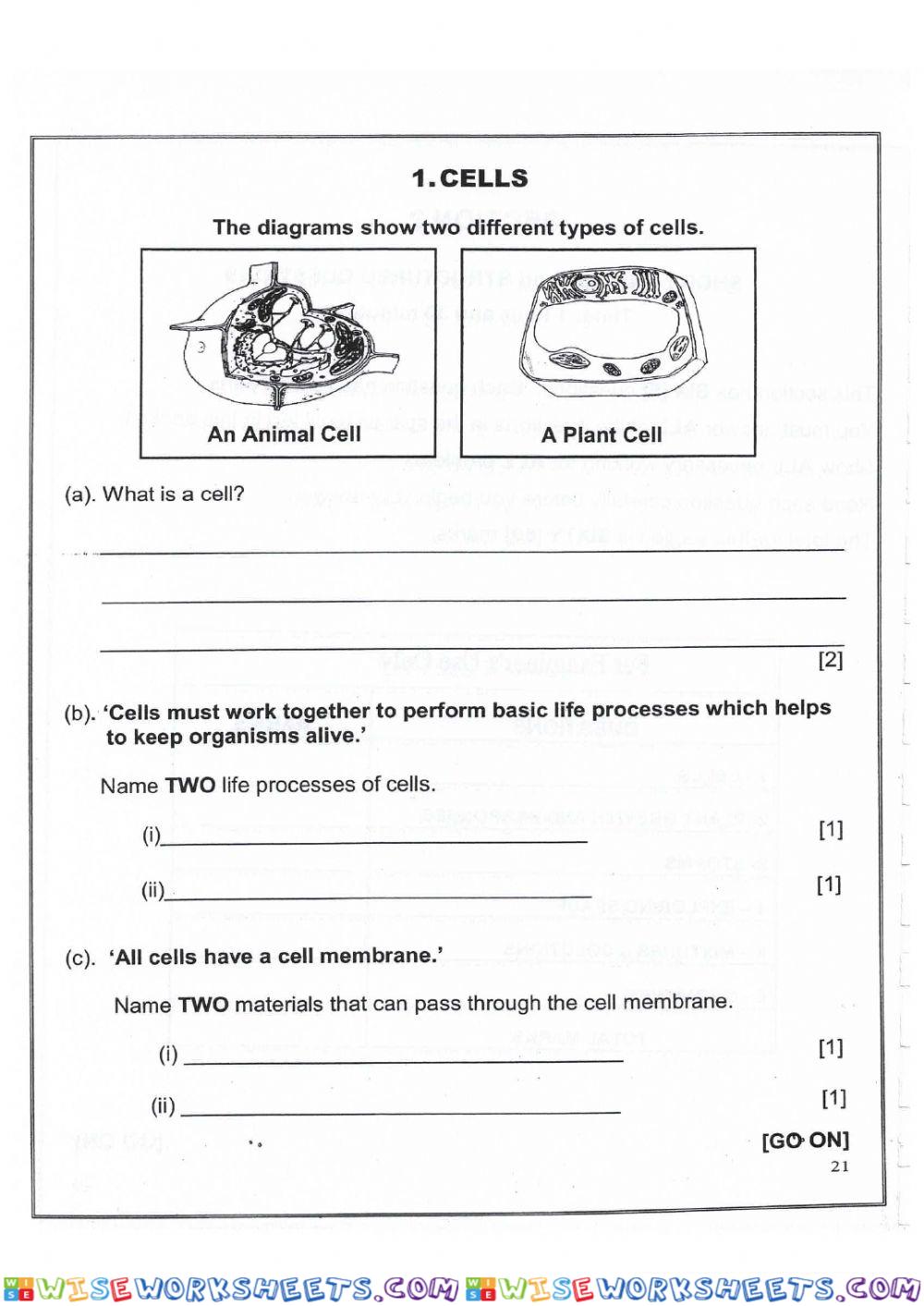 GLAT Cells Practice