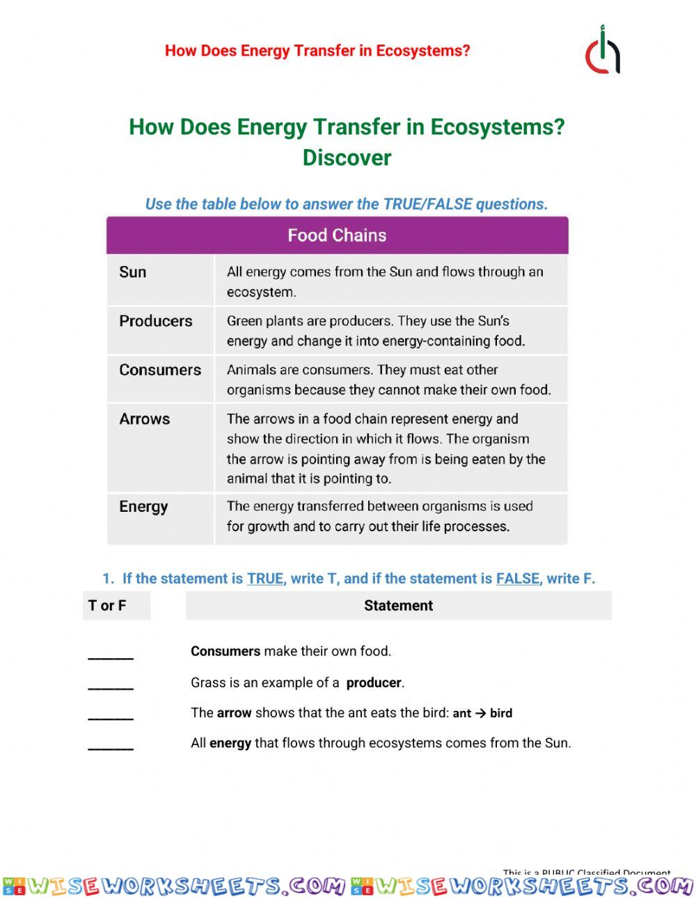 How Dose Energy Transfer in Ecosystem
