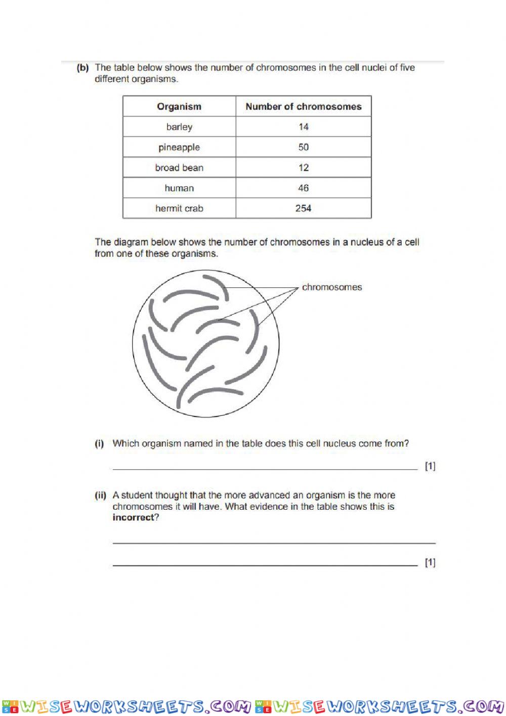 worksheet