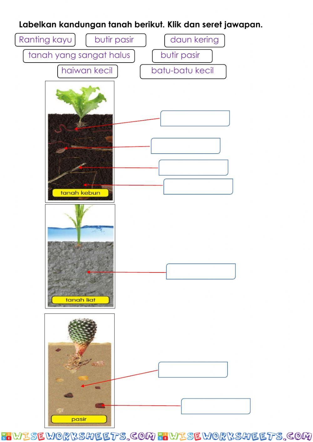 worksheet