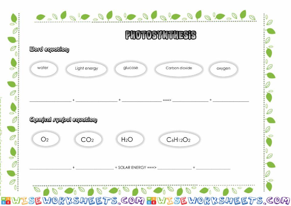 Photosynthesis