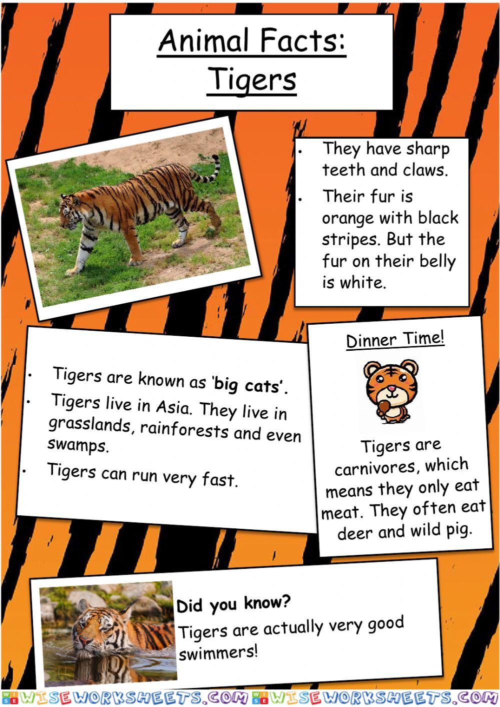 Reading Comprehension - Tigers