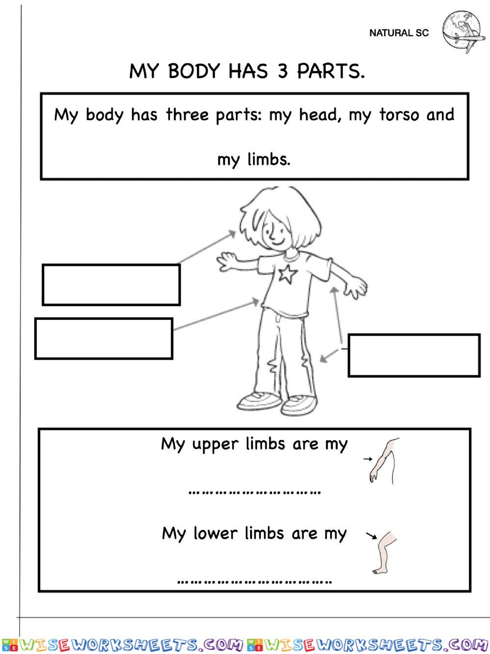 Body parts