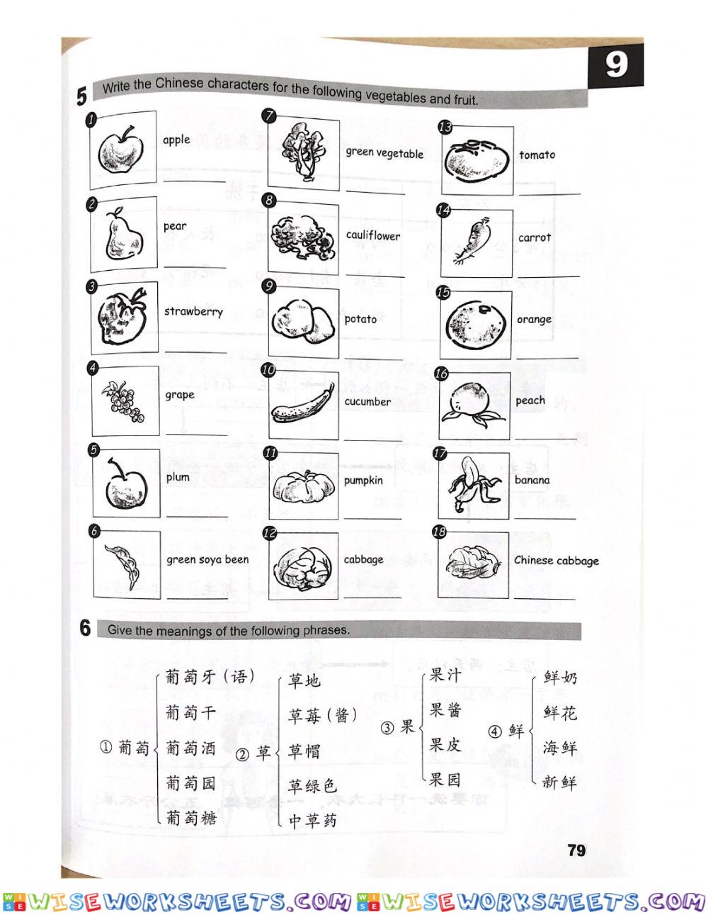 worksheet