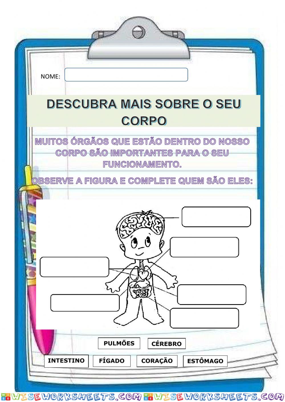 As partes do corpo humano
