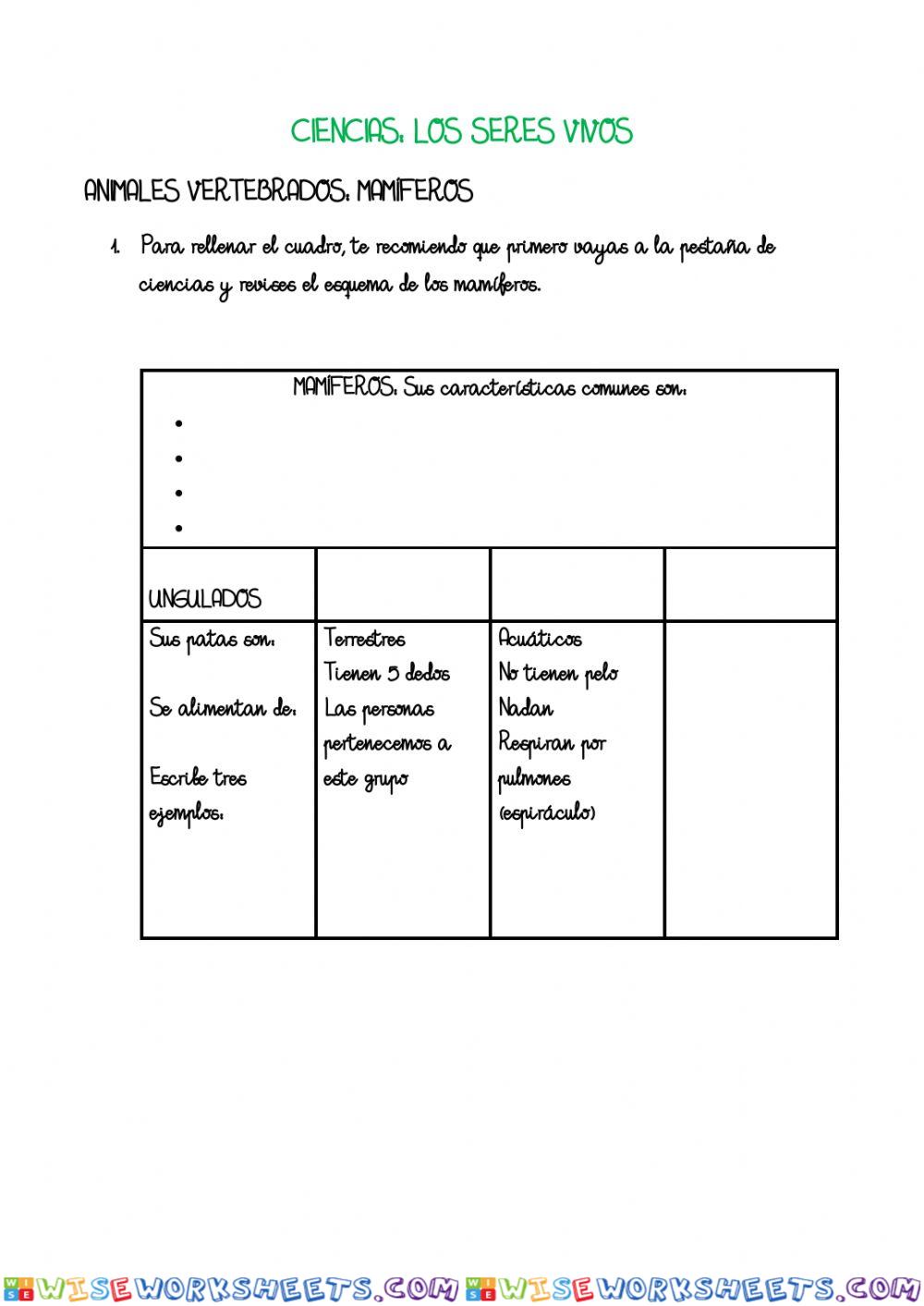 worksheet