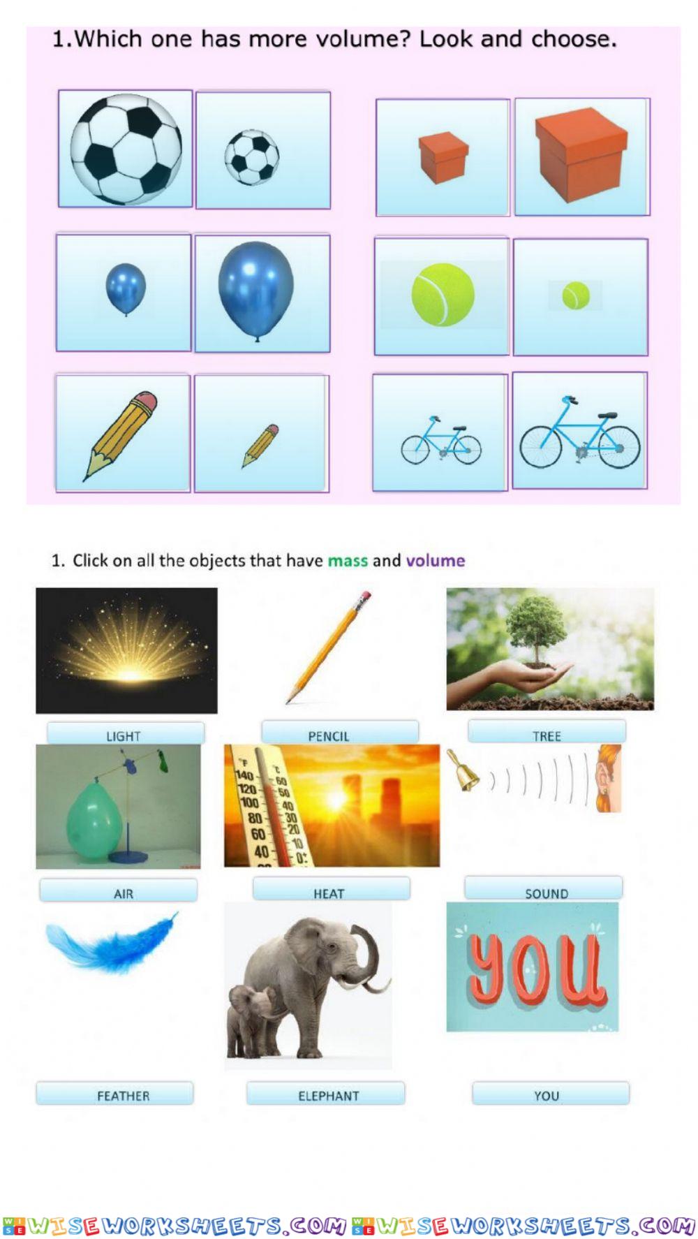 Test Nat Science P6