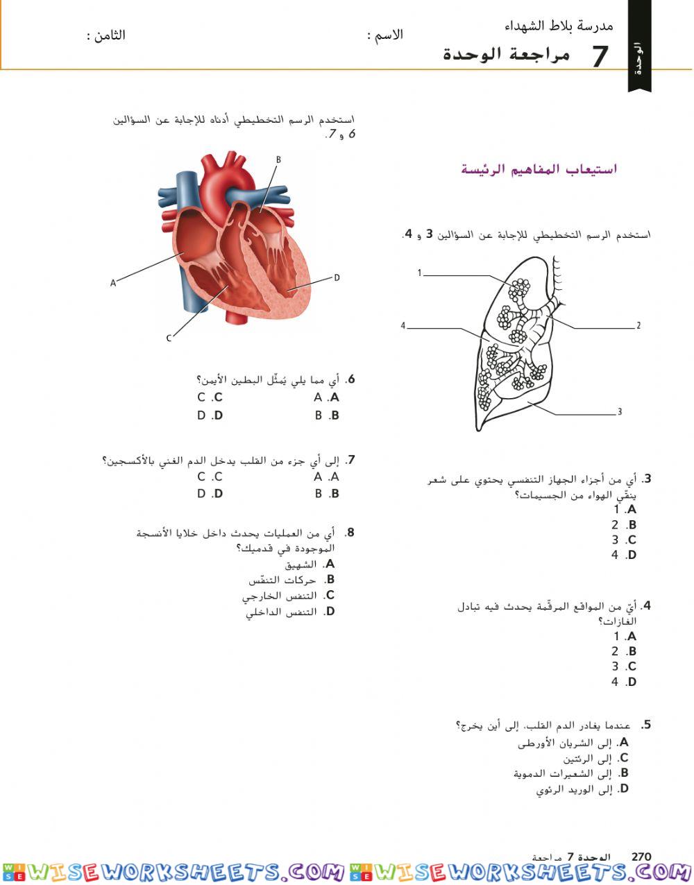 مراجعة الودة 7 الجهاز التنفسي والدوري