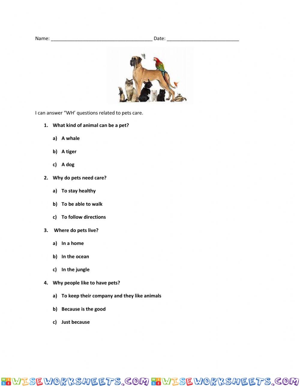 WH questions pets
