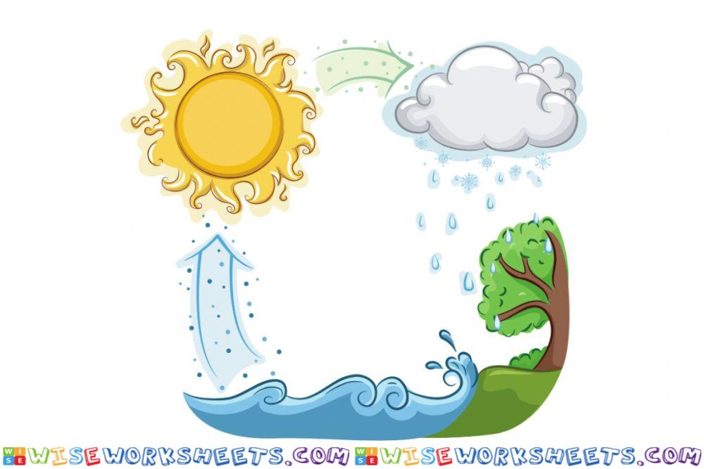 Cycle of water