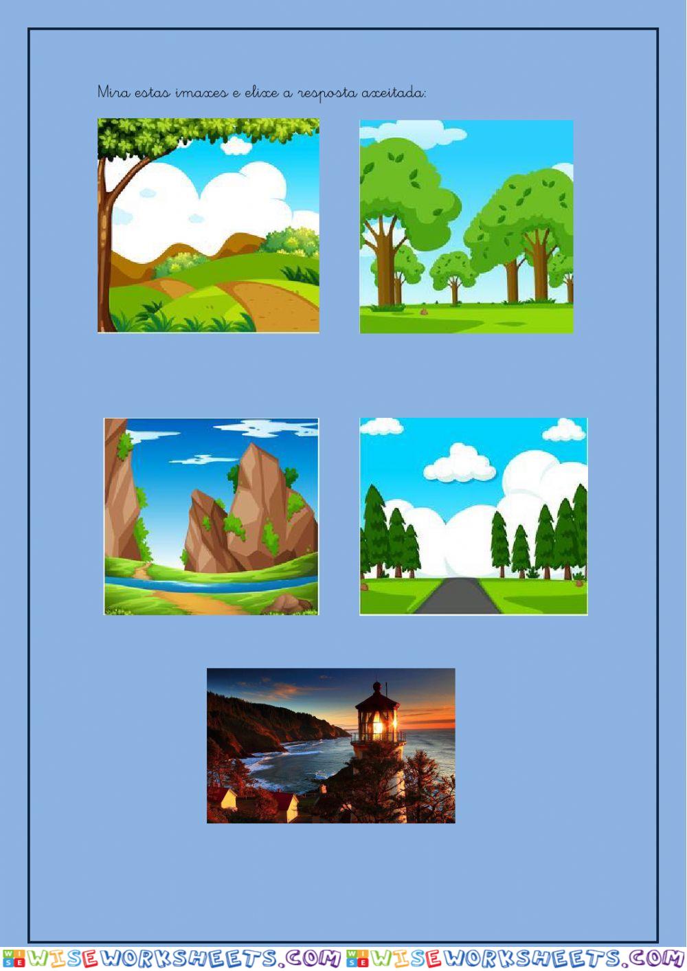 worksheet