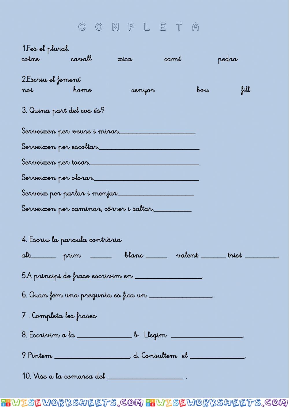 worksheet