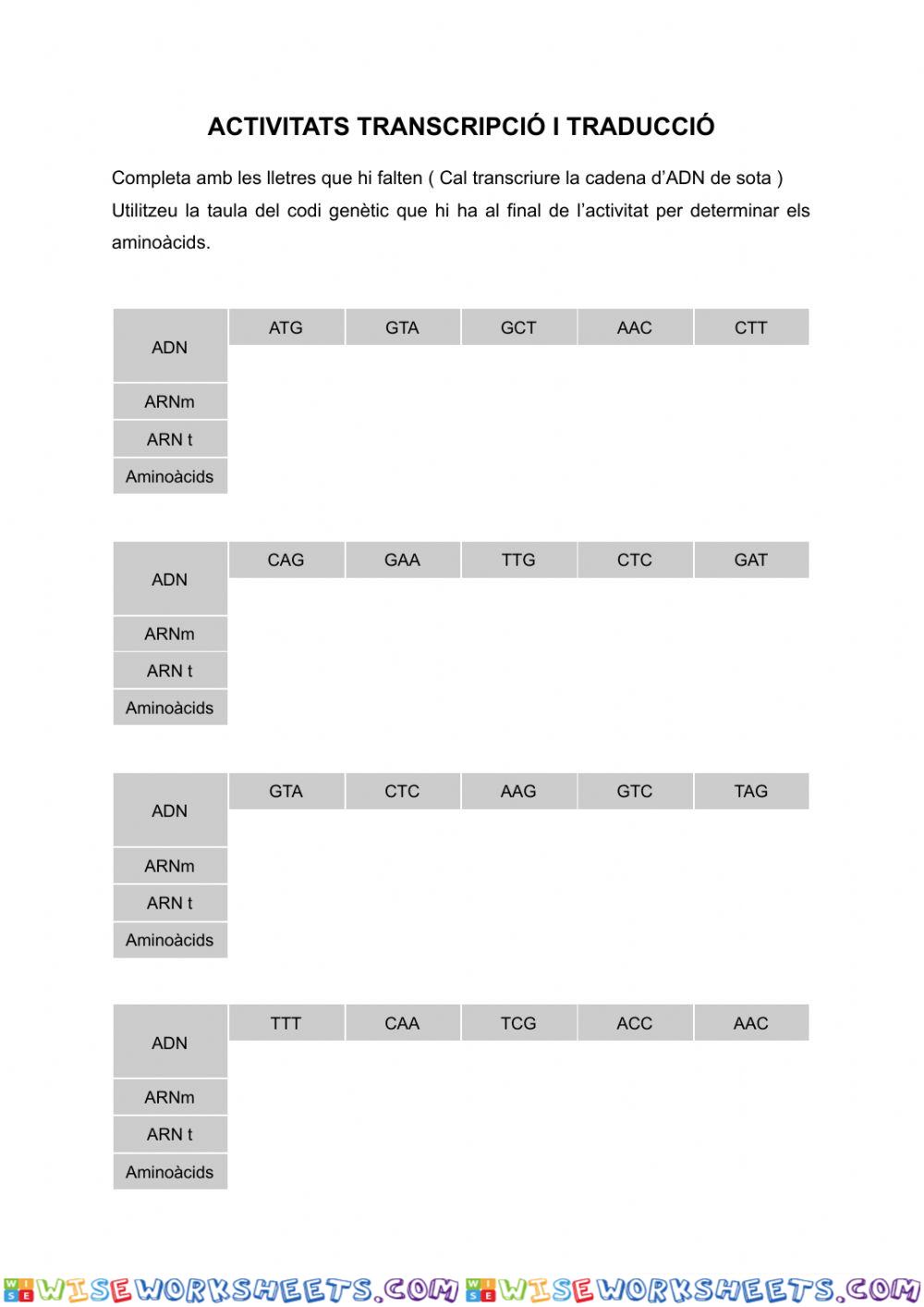 Transcripció i Traducció