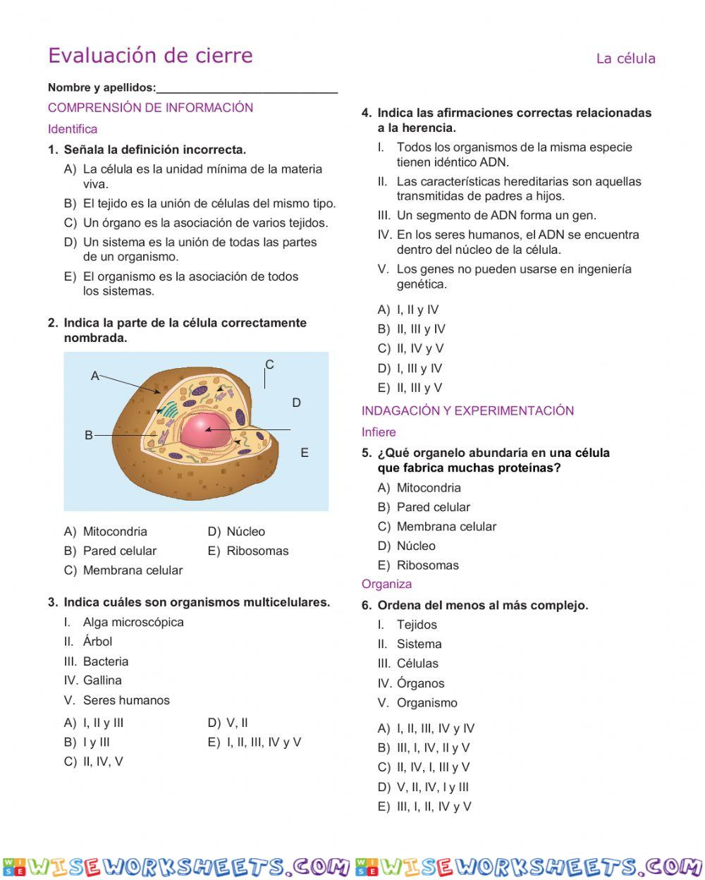 La  célula