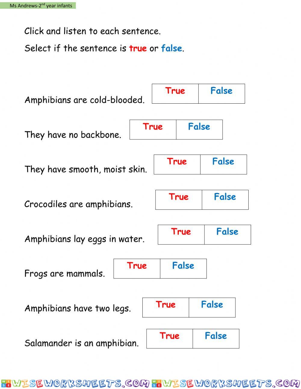 worksheet