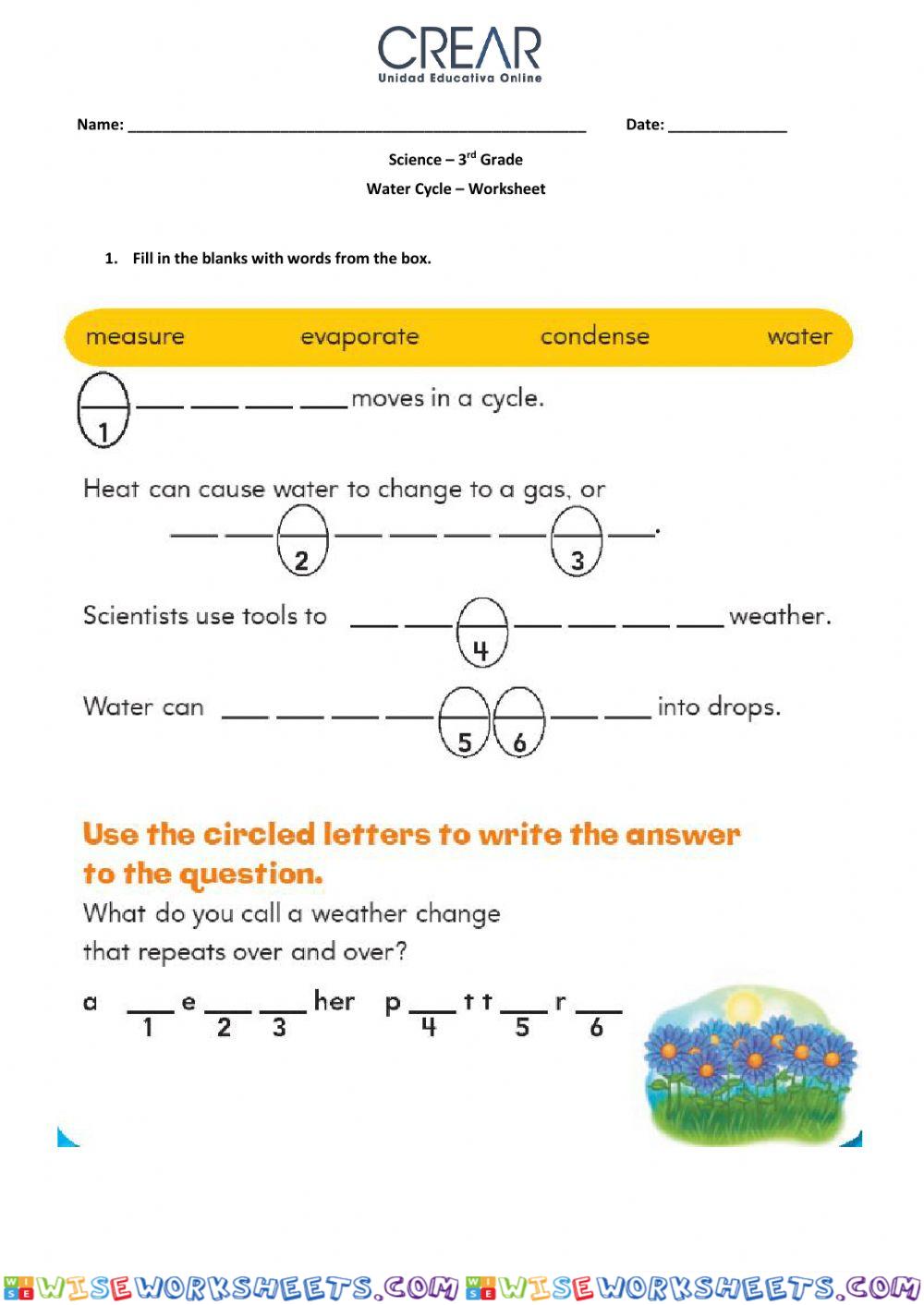 Water cycle