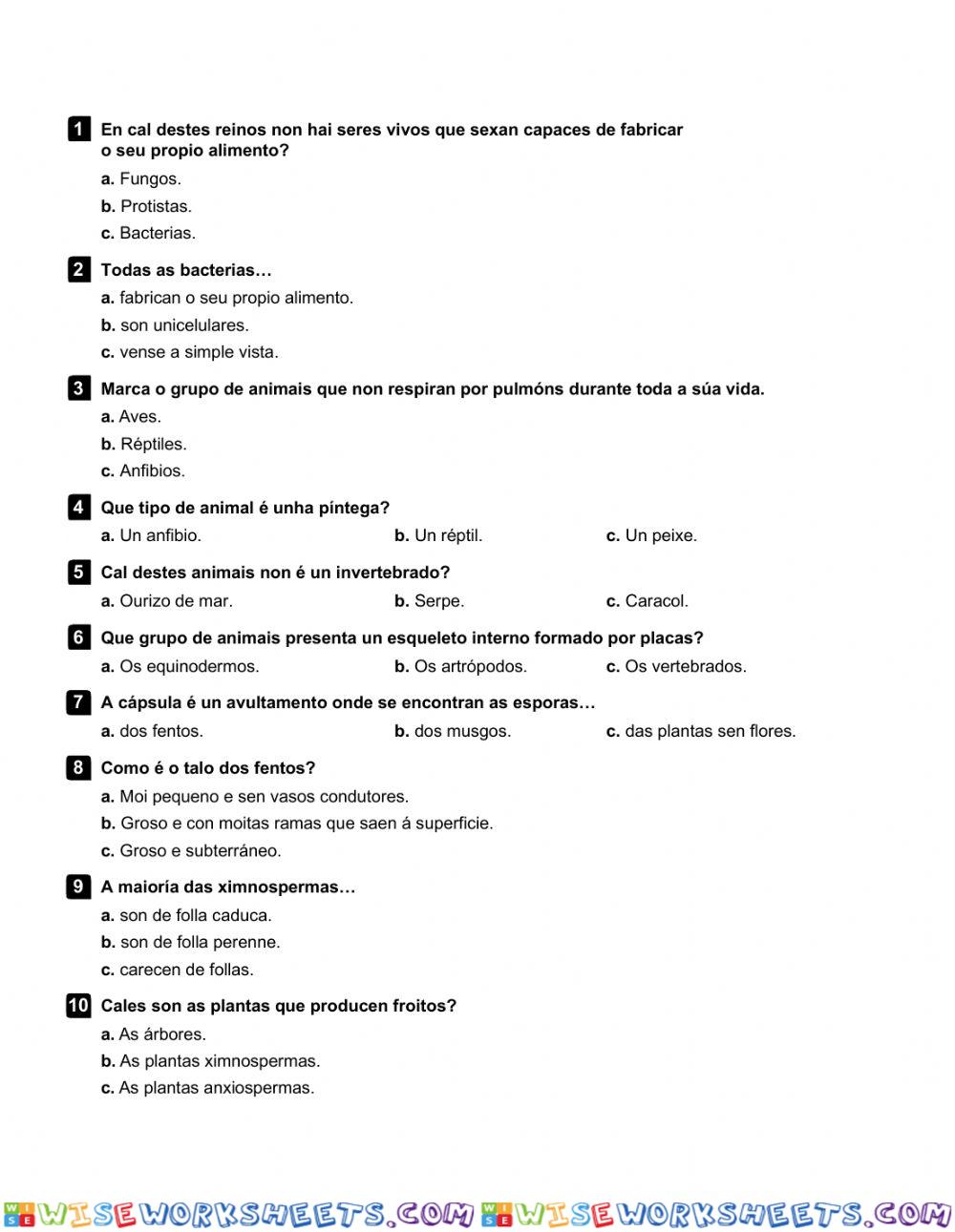 Clasificación seres vivos