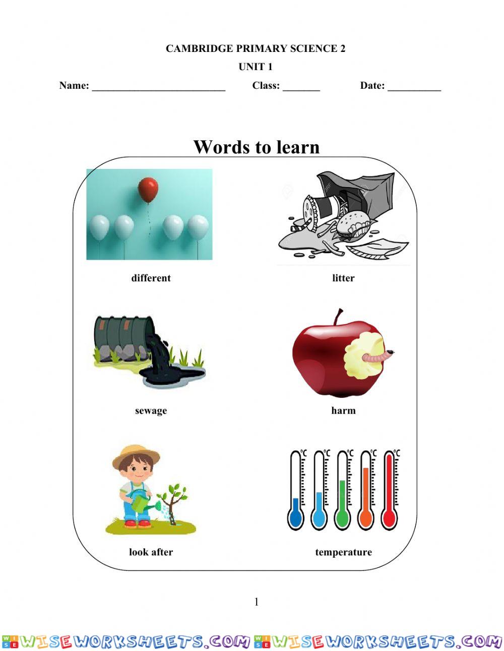 Cps2-summer homework-week 2