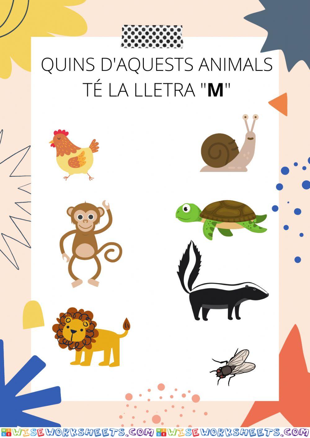 ANIMALS AMB LA LLETRA M