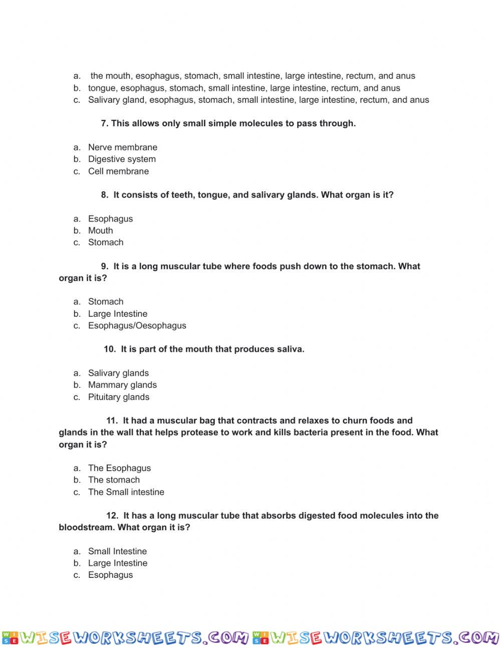 worksheet